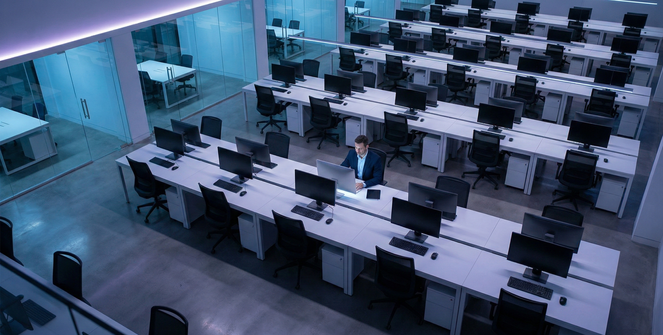 Berater erklärt Kunde Software